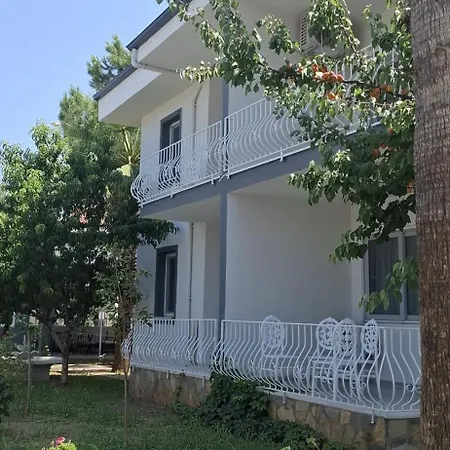 Bizim Kelebek *