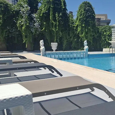 Bizim Kelebek 3*